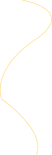 Vector Background